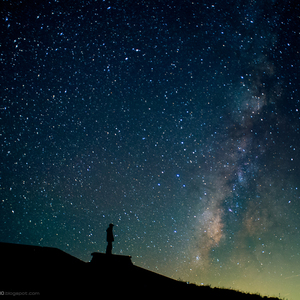 野外震车做爰无删减版
